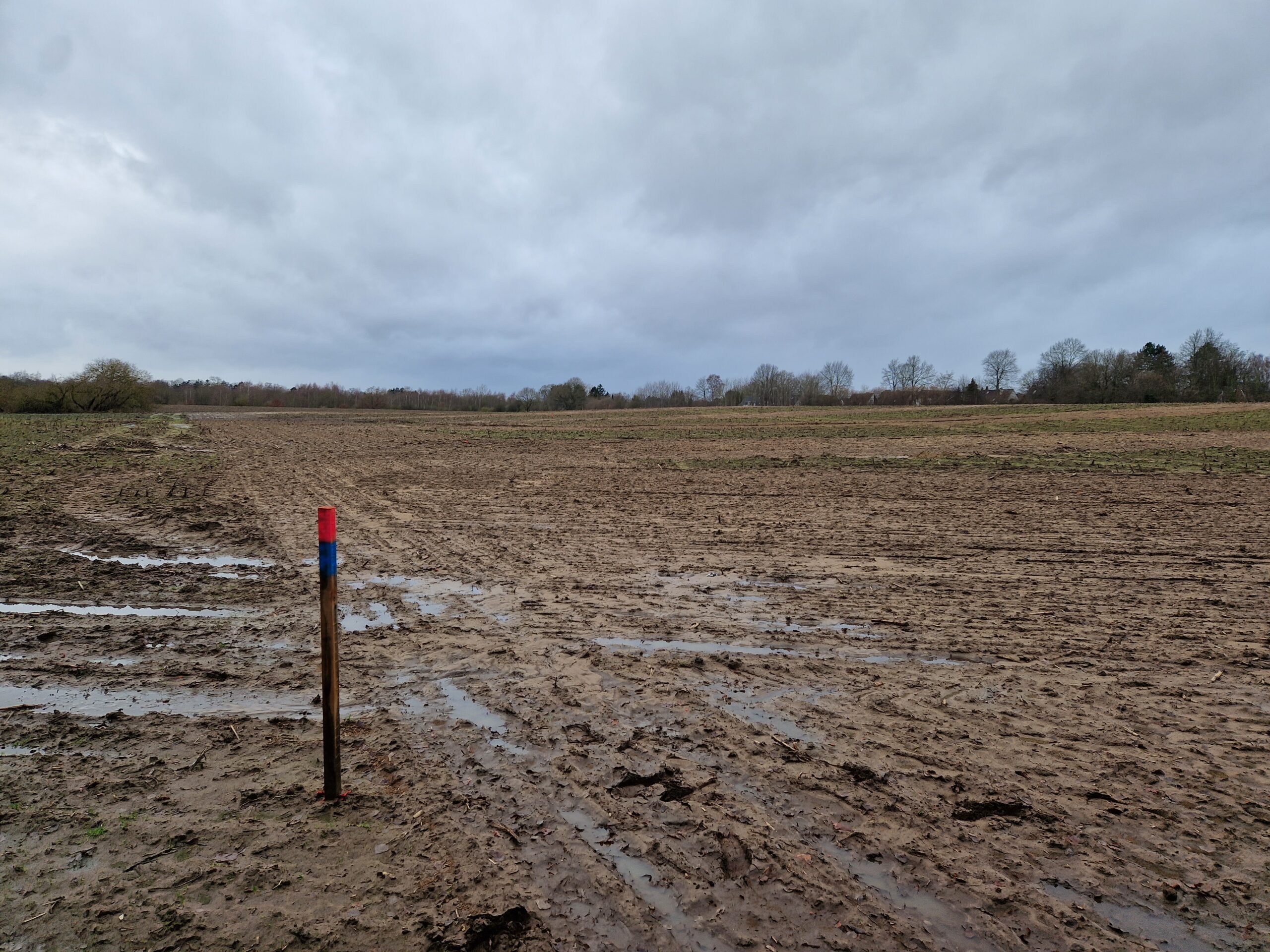 SE corner of the field looking W